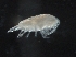  ( - IOS2018034-423)  @11 [ ] CreativeCommons - Attribution Non-Commercial Share-Alike (2019) R. John Nelson Fisheries and Oceans Canada