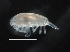  ( - IOS2018034-428)  @11 [ ] CreativeCommons - Attribution Non-Commercial Share-Alike (2019) R. John Nelson Fisheries and Oceans Canada