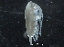  ( - IOS2018040-036)  @11 [ ] CreativeCommons - Attribution Non-Commercial Share-Alike (2019) R. John Nelson Fisheries and Oceans Canada