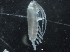 ( - IOS2018040-043)  @11 [ ] CreativeCommons - Attribution Non-Commercial Share-Alike (2019) R. John Nelson Fisheries and Oceans Canada