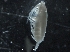  ( - IOS2018040-044)  @11 [ ] CreativeCommons - Attribution Non-Commercial Share-Alike (2019) R. John Nelson Fisheries and Oceans Canada