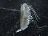  ( - IOS2018040-045)  @11 [ ] CreativeCommons - Attribution Non-Commercial Share-Alike (2019) R. John Nelson Fisheries and Oceans Canada