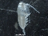  ( - IOS2018040-046)  @11 [ ] CreativeCommons - Attribution Non-Commercial Share-Alike (2019) R. John Nelson Fisheries and Oceans Canada
