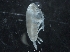  ( - IOS2018040-047)  @11 [ ] CreativeCommons - Attribution Non-Commercial Share-Alike (2019) R. John Nelson Fisheries and Oceans Canada