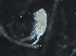  ( - IOS2019044-004)  @11 [ ] CreativeCommons - Attribution Non-Commercial Share-Alike (2019) R. John Nelson Fisheries and Oceans Canada