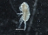  ( - IOS2019044-020)  @11 [ ] CreativeCommons - Attribution Non-Commercial Share-Alike (2019) R. John Nelson Fisheries and Oceans Canada