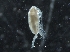  ( - IOS2019044-023)  @11 [ ] CreativeCommons - Attribution Non-Commercial Share-Alike (2019) R. John Nelson Fisheries and Oceans Canada