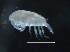  ( - IOS2019062-003)  @11 [ ] CreativeCommons - Attribution Non-Commercial Share-Alike (2019) R. John Nelson Fisheries and Oceans Canada