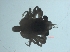  ( - IOS2021005-057)  @11 [ ] CC - Attribution Non-Commercial Share-Alike (2021) Moira Galbraith DFO