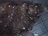  ( - IOS2021013-008)  @11 [ ] CC - Attribution Non-Commercial Share-Alike (2021) R John Nelson DFO