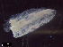 ( - IOS2021022-006)  @11 [ ] CC - Attribution Non-Commercial Share-Alike (2022) Julian Smith DFO