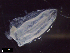  ( - IOS2021022-007)  @11 [ ] CC - Attribution Non-Commercial Share-Alike (2022) Julian Smith DFO