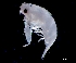  ( - IOS2021022-091)  @11 [ ] CC - Attribution Non-Commercial Share-Alike (2024) Julian Smith DFO