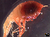  ( - IOS2021036-019)  @11 [ ] CC - Attribution Non-Commercial Share-Alike (2021) Julian Smith DFO