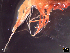  ( - IOS2021036-019)  @11 [ ] CC - Attribution Non-Commercial Share-Alike (2022) Julian Smith DFO