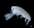 ( - IOS2022001-019)  @11 [ ] CC - Attribution Non-Commercial Share-Alike (2024) Julian Smith DFO