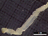  ( - IOS2022008-008)  @11 [ ] CC - Attribution Non-Commercial Share-Alike (2022) Julian Smith DFO
