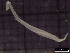  ( - IOS2022008-027)  @11 [ ] CC - Attribution Non-Commercial Share-Alike (2022) Julian Smith DFO
