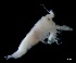  ( - IOS2023026-008)  @11 [ ] CC - Attribution Non-Commercial Share-Alike (2024) Julian Smith DFO