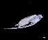  ( - IOS2023026-013)  @11 [ ] CC - Attribution Non-Commercial Share-Alike (2024) Julian Smith DFO