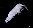  ( - IOS2023026-025)  @11 [ ] CC - Attribution Non-Commercial Share-Alike (2024) Julian Smith DFO