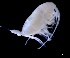 ( - IOS2023026-026)  @11 [ ] CC - Attribution Non-Commercial Share-Alike (2024) Julian Smith DFO