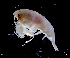  ( - IOS2023030-072)  @11 [ ] CC - Attribution Non-Commercial Share-Alike (2024) Julian Smith DFO