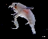  ( - IOS2023030-074)  @11 [ ] CC - Attribution Non-Commercial Share-Alike (2024) Julian Smith DFO