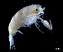  ( - IOS2023030-082)  @11 [ ] CC - Attribution Non-Commercial Share-Alike (2024) Julian Smith DFO