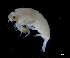  ( - IOS2023030-084)  @11 [ ] CC - Attribution Non-Commercial Share-Alike (2024) Julian Smith DFO