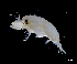  ( - IOS2024032-004)  @11 [ ] CC - Attribution Non-Commercial Share-Alike (2024) Julian Smith DFO
