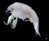  ( - IOS2024041-001)  @11 [ ] CC - Attribution Non-Commercial Share-Alike (2024) Julian Smith DFO