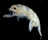  ( - IOS2024066-019)  @11 [ ] CC - Attribution Non-Commercial Share-Alike (2024) Julian Smith DFO