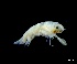  ( - IOS2024066-025)  @11 [ ] CC - Attribution Non-Commercial Share-Alike (2024) Julian Smith DFO