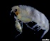  ( - IOS2024066-036)  @11 [ ] CC - Attribution Non-Commercial Share-Alike (2024) Julian Smith DFO