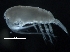  ( - OSU2019098-009)  @11 [ ] CreativeCommons - Attribution Non-Commercial Share-Alike (2019) R. John Nelson Fisheries and Oceans Canada