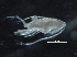  ( - OSU2019099-027)  @11 [ ] CreativeCommons - Attribution Non-Commercial Share-Alike (2019) R. John Nelson Fisheries and Oceans Canada
