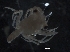  ( - Puget2020-010)  @11 [ ] Unspecified (default): All Rights Reserved  R John Nelson Unspecified