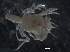  ( - Puget2020-010)  @11 [ ] Unspecified (default): All Rights Reserved  R John Nelson Unspecified