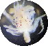  ( - Puget2020-010)  @11 [ ] Unspecified (default): All Rights Reserved  R John Nelson Unspecified