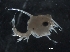  ( - Puget2020-011)  @11 [ ] Unspecified (default): All Rights Reserved  R John Nelson Unspecified
