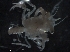 ( - Puget2020-018)  @11 [ ] Unspecified (default): All Rights Reserved  R John Nelson Unspecified