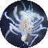  ( - Puget2020-018)  @11 [ ] Unspecified (default): All Rights Reserved  R John Nelson Unspecified