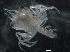  ( - Puget2020-022)  @11 [ ] Unspecified (default): All Rights Reserved  R John Nelson Unspecified