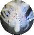  ( - Puget2020-022)  @11 [ ] Unspecified (default): All Rights Reserved  R John Nelson Unspecified