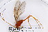  ( - ZMUO.006324)  @13 [ ] CreativeCommons - Attribution Non-Commercial (2013) Marko Mutanen University of Oulu
