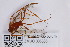  ( - ZMUO.006336)  @13 [ ] CreativeCommons - Attribution Non-Commercial (2013) Marko Mutanen University of Oulu
