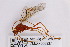  ( - ZMUO.006337)  @13 [ ] CreativeCommons - Attribution Non-Commercial (2013) Marko Mutanen University of Oulu