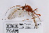  ( - ZMUO.006351)  @13 [ ] CreativeCommons - Attribution Non-Commercial (2013) Marko Mutanen University of Oulu