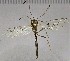  ( - UCSB-IZC00009077)  @11 [ ] CC-0 (2019) University of California, Santa Barbara University of California, Santa Barbara